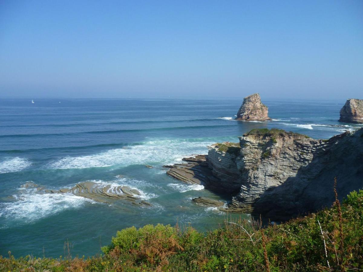Hendaye-Plage A 200M De La Plage Lejlighed Eksteriør billede